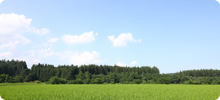 広大な田んぼの風景